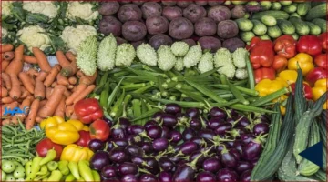 أسعار الخضروات.. تحديث يوم الأحد 5-10-2025 في سوق العبور يكشف التغيرات الجديدة